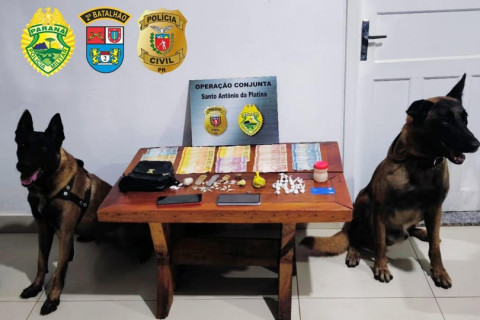 POLÍCIA MILITAR E POLÍCIA CIVIL CUMPREM DE MANDADO DE BUSCA E APREENDE DROGAS EM SANTO ANTÔNIO DA PLATINA