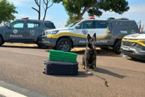 POLICIAMENTO RODOVIÁRIO PRENDE TRAFICANTE COM 10 TABLETES DE MACONHA EM OURINHOS/SP