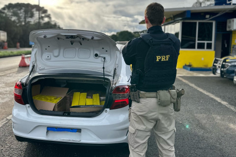 PRF apreende mais de 735 quilos de maconha e recupera um veículo roubado em três ocorrências na BR-277, em Guarapuava (PR), em menos de duas horas